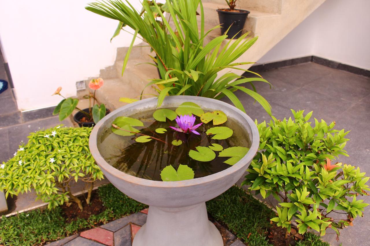 Turtle Reef Guest Bed & Breakfast Mirissa Luaran gambar