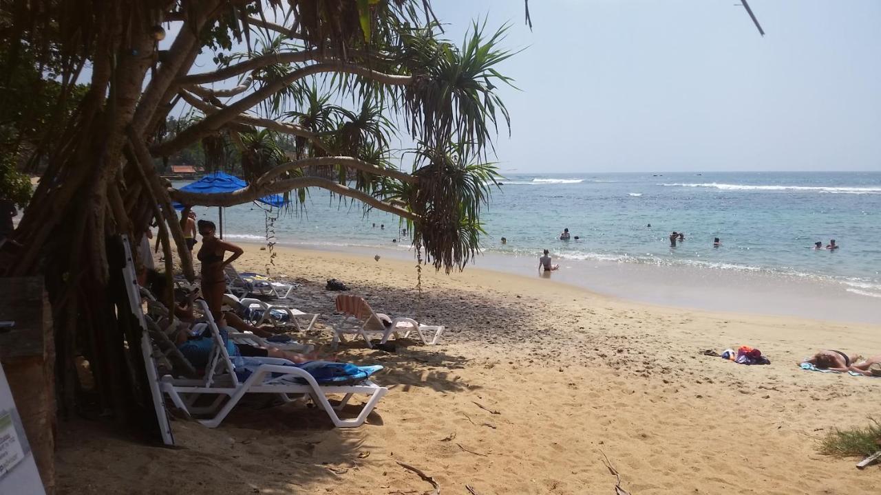 Turtle Reef Guest Bed & Breakfast Mirissa Luaran gambar